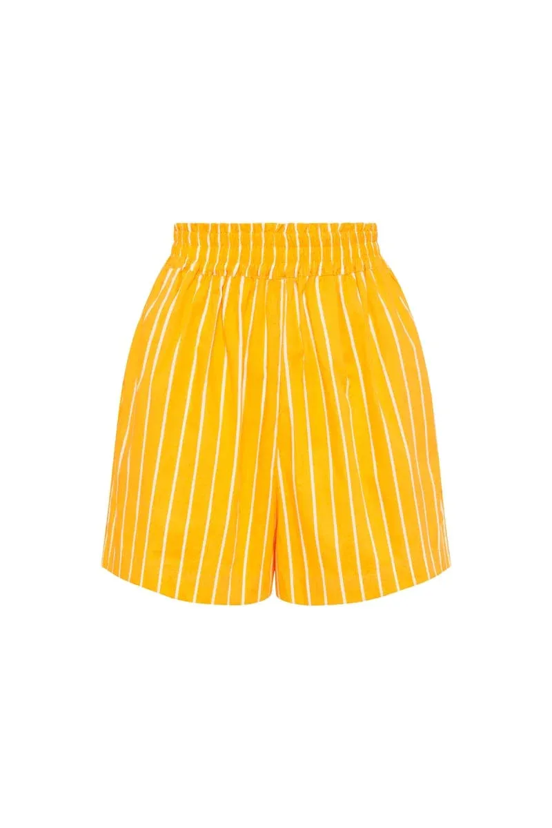 Elva Shorts - Adia Stripe Print Citrus